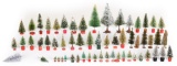 35+Bottle Brush Trees & Others