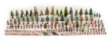 50+Bottle Brush Trees