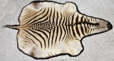 Zebra Taxidermy Rug Mount