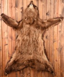 Grizzly Bear Taxidermy Rug Mount