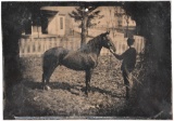 Vintage B&W Picture of Man and Horse