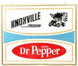 Large Dr. Pepper Metal Sign w/Privilege Panel