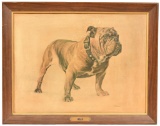 Mack Bulldog Oilette Print
