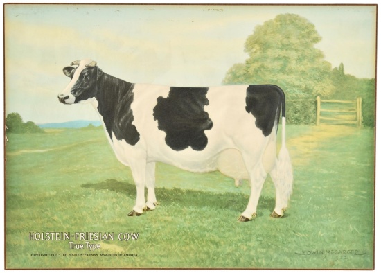 Original Nasco Educational Holstein-friesian Cow Sign Nos