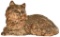 Hubley Cast Iron Cat Figure