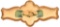 1893 Celluloid Masonic Fraternal Pinback Button