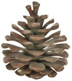 Early Brass Pine Cone Door Knocker