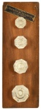 Technical Glass Co. Door Pull Display