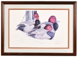Framed Art LaMay Redhead Duck Print