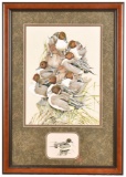 Art LaMay Framed Pintail Print