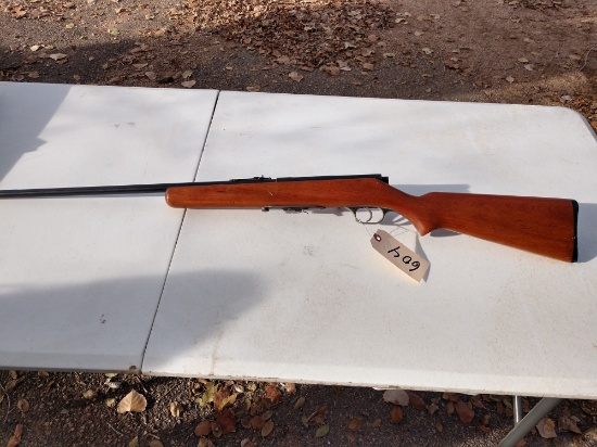 Springfield 22