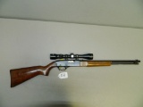 Winchester .22 Long or Long Rifle