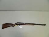 Stevens/Savage 22LR