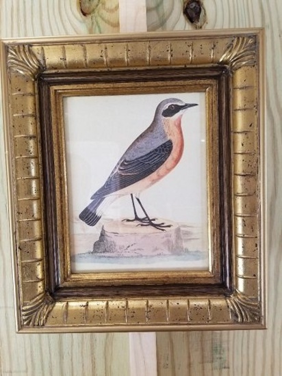 Hand Crafted wood Frame with bird print