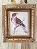 Hand Crafted wood Frame with bird print