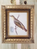 Hand Crafted wood Frame with bird print