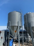 12 TOn Feed Bin