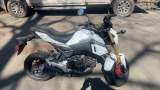 2018 Honda Grom