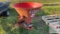 Lowery 300 Broadcast Spreader - 3 PT Hitch