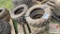 (4) Skidsteer Tires