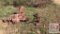 8N Parts Tractor