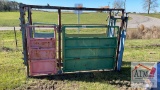 Cow Palpitation Shoot