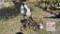 Metal Goat on Tricycle
