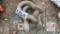 (2) Clevis Pins