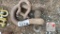 (2) Clevis Pins