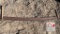 Two Man Cross Cut Saw