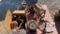 Misc Pallet