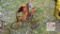 Metal Cardinal on Tricycle