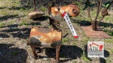 Small Metal Cow