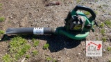 Weed Eater Blower