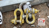(3) Clevis Pins