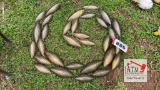 Decorative Metal Wall Art