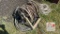 Aluminum Service Wire