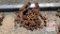 Pieces of chain, broken binder, railroad spikes