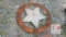 State of Texas Metal Art