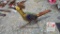 Metal Bird