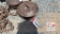Cast Iron Domed Lid Pot