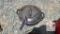 Cast Iron Domed Lid Pot