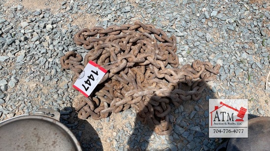 Heavy Chain