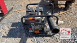 Red Lion Water Pump