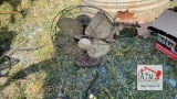 Antique Wizard Fan