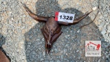 Metal Longhorn Skull