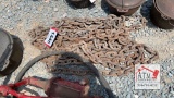 Heavy Chain