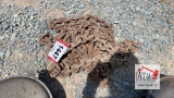 Heavy Chain