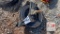 Buyers Water Hose Reel