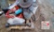 Pallet Lot